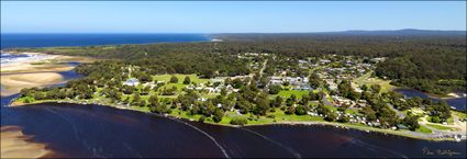 Mallacoota - VIC (PBH3 00 33452)